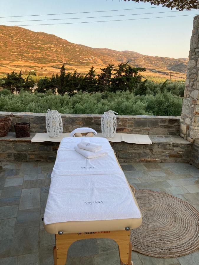 Ninemia Naxos Suites Agios Thaleleos Dış mekan fotoğraf