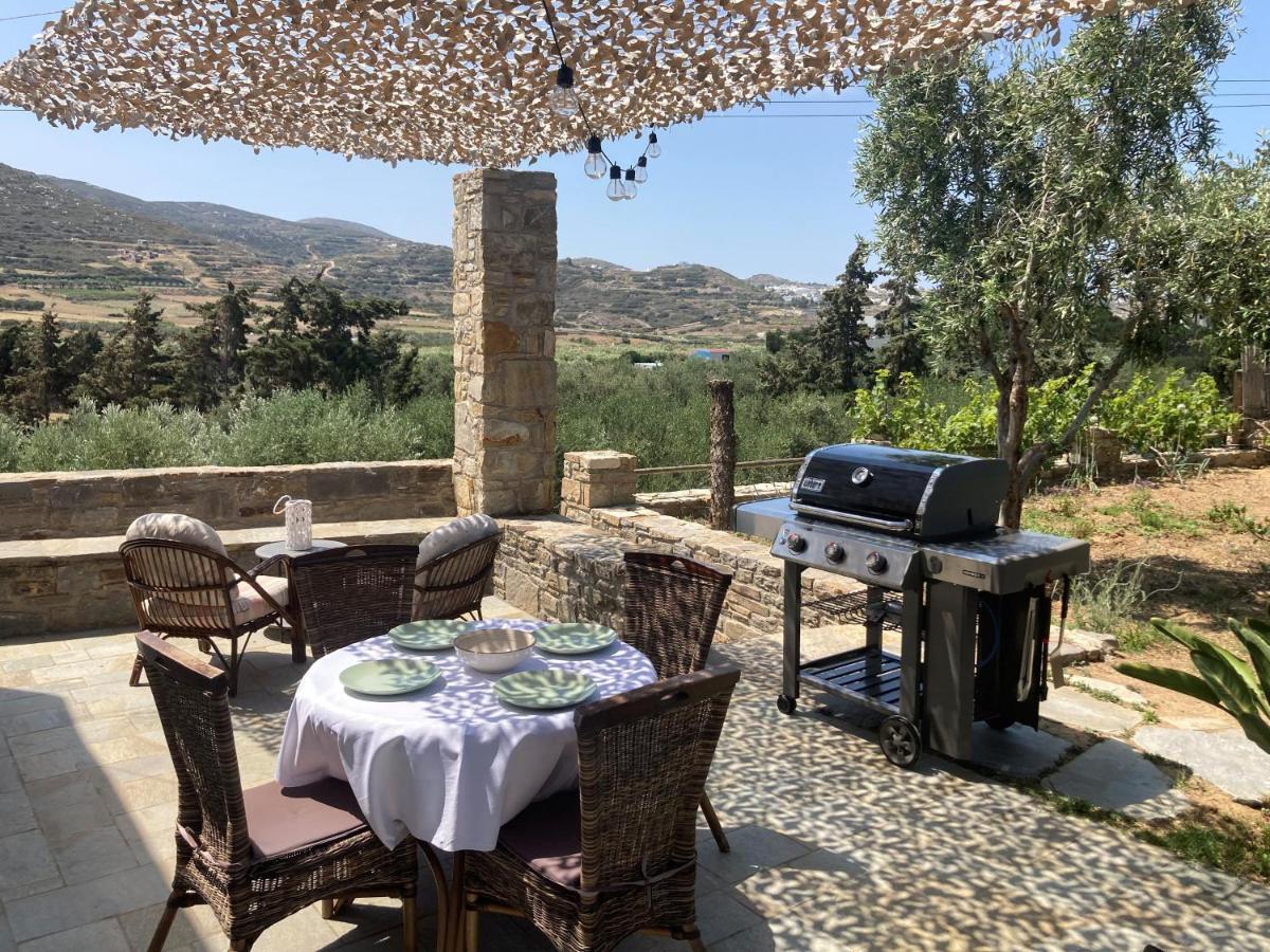Ninemia Naxos Suites Agios Thaleleos Dış mekan fotoğraf